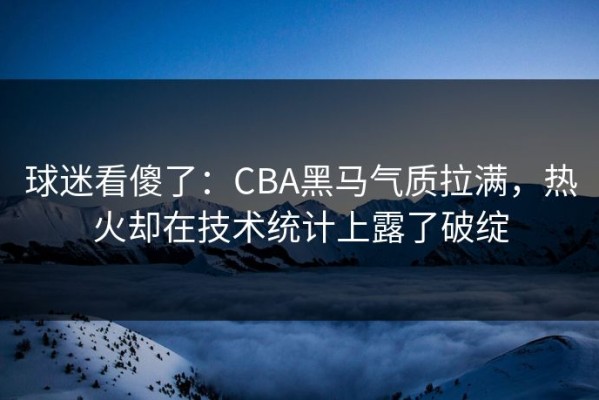 球迷看傻了：CBA黑马气质拉满，热火却在技术统计上露了破绽