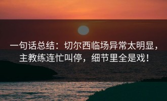 一句话总结：切尔西临场异常太明显，主教练连忙叫停，细节里全是戏！