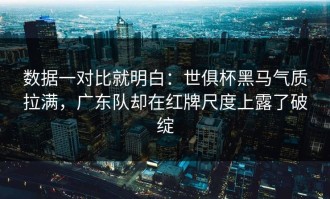 数据一对比就明白：世俱杯黑马气质拉满，广东队却在红牌尺度上露了破绽