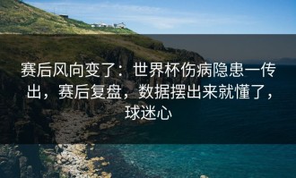 赛后风向变了：世界杯伤病隐患一传出，赛后复盘，数据摆出来就懂了，球迷心