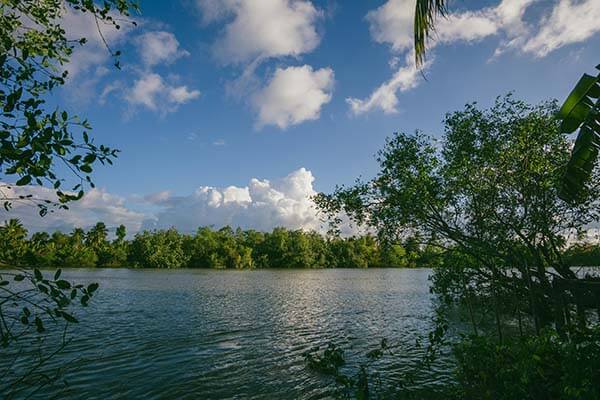 中场休息后风向突变：德甲皇马这场，体彩数据走势突然翻面