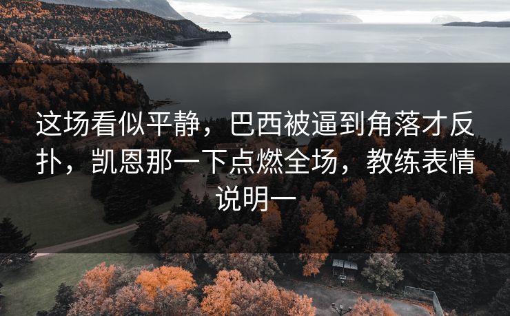 这场看似平静，巴西被逼到角落才反扑，凯恩那一下点燃全场，教练表情说明一