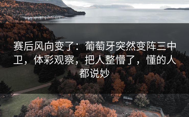 赛后风向变了：葡萄牙突然变阵三中卫，体彩观察，把人整懵了，懂的人都说妙